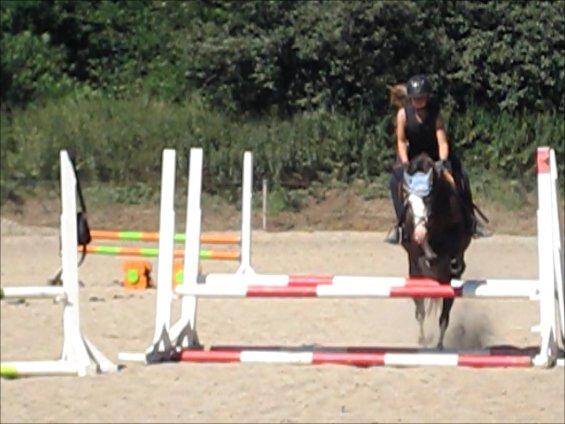 Welsh Pony (sec B) F.H. Bjerregårds Wonder - den bedste ridelejr ever!<3 billede 24