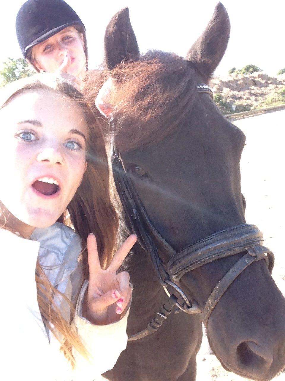 Anden særlig race Spirit ( verden største stjernepony) billede 12