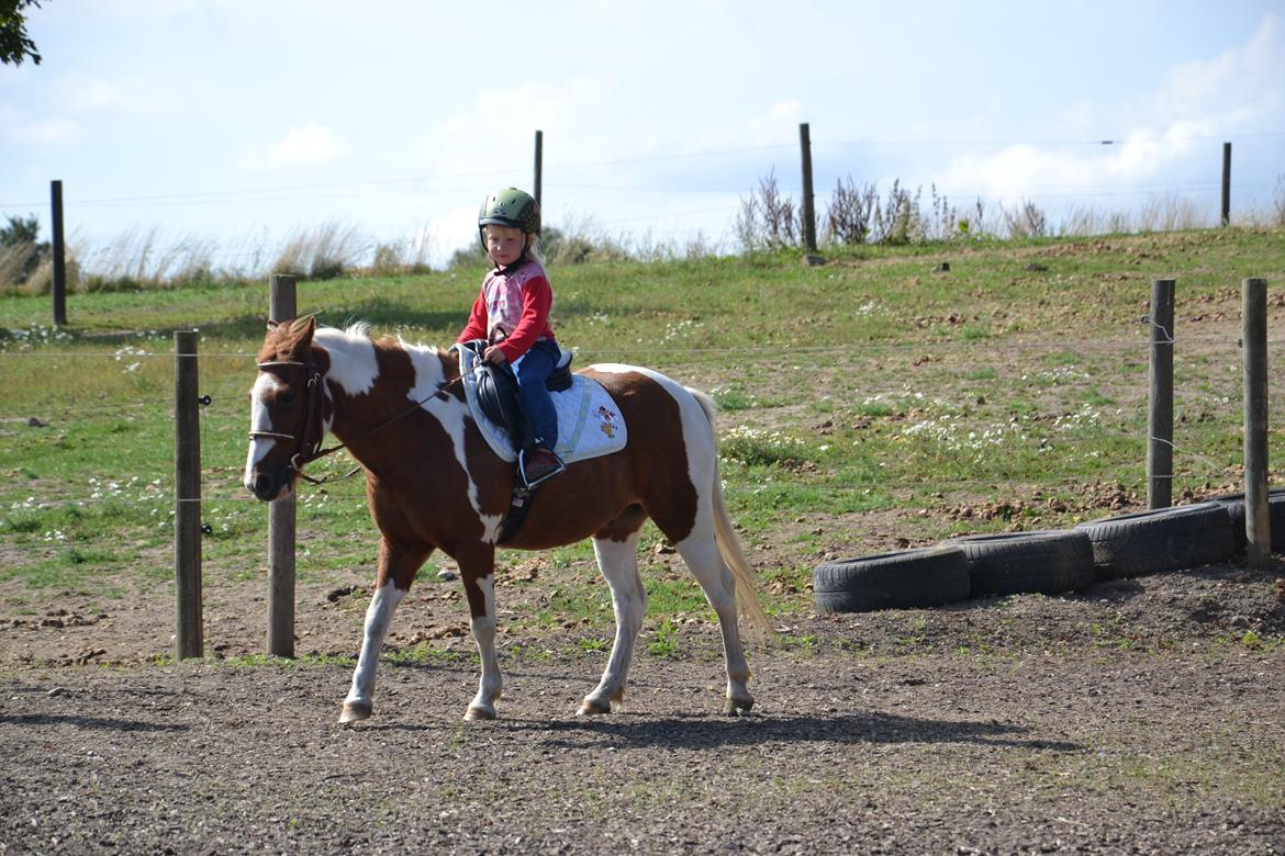 Anden særlig race Batman billede 2