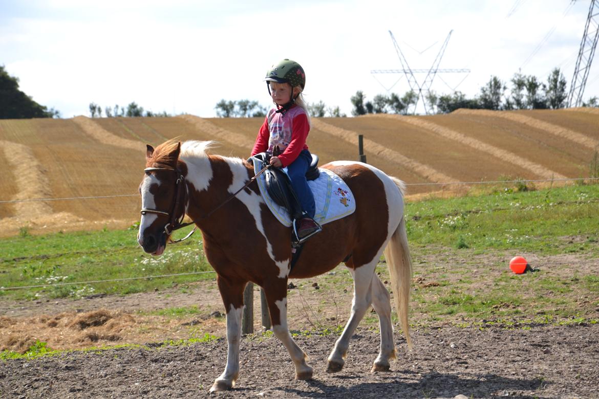 Anden særlig race Batman billede 3