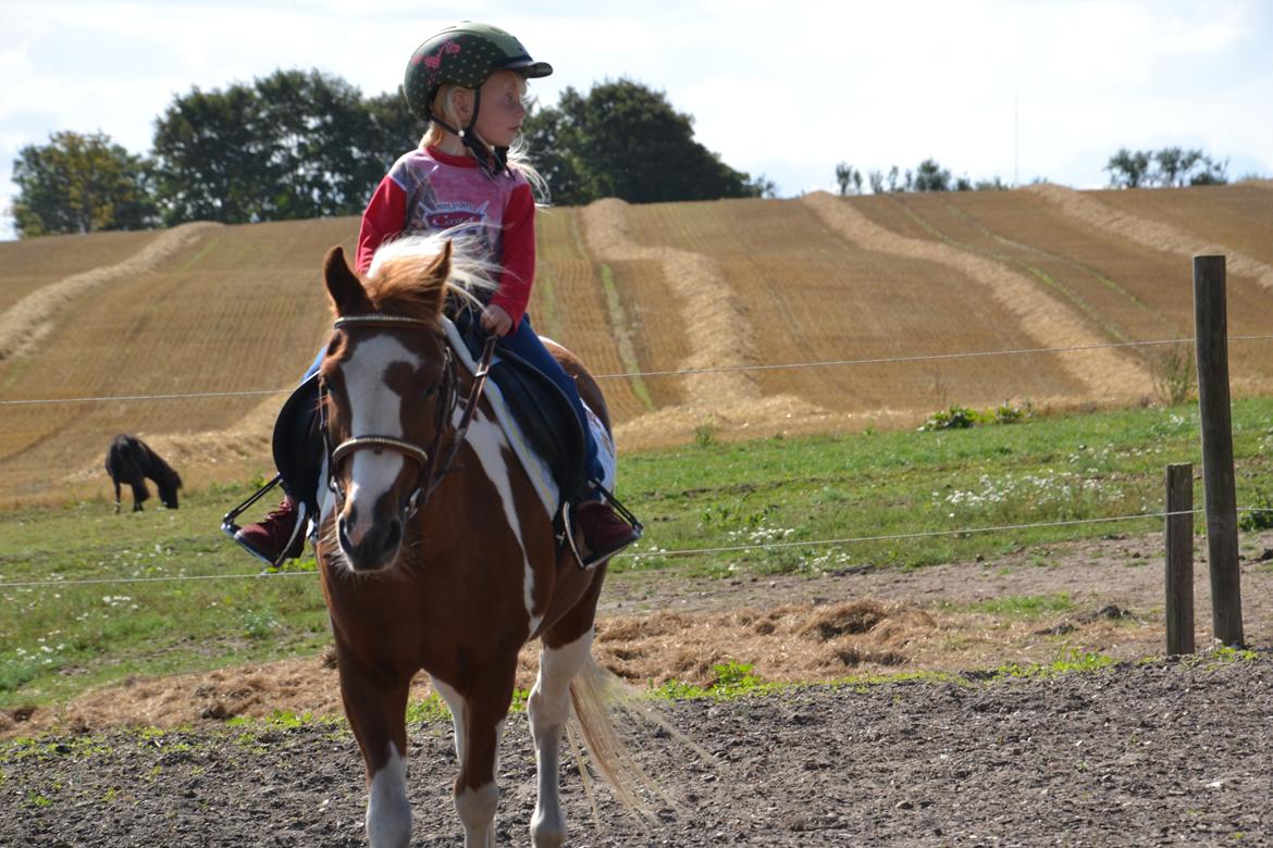 Anden særlig race Batman billede 4