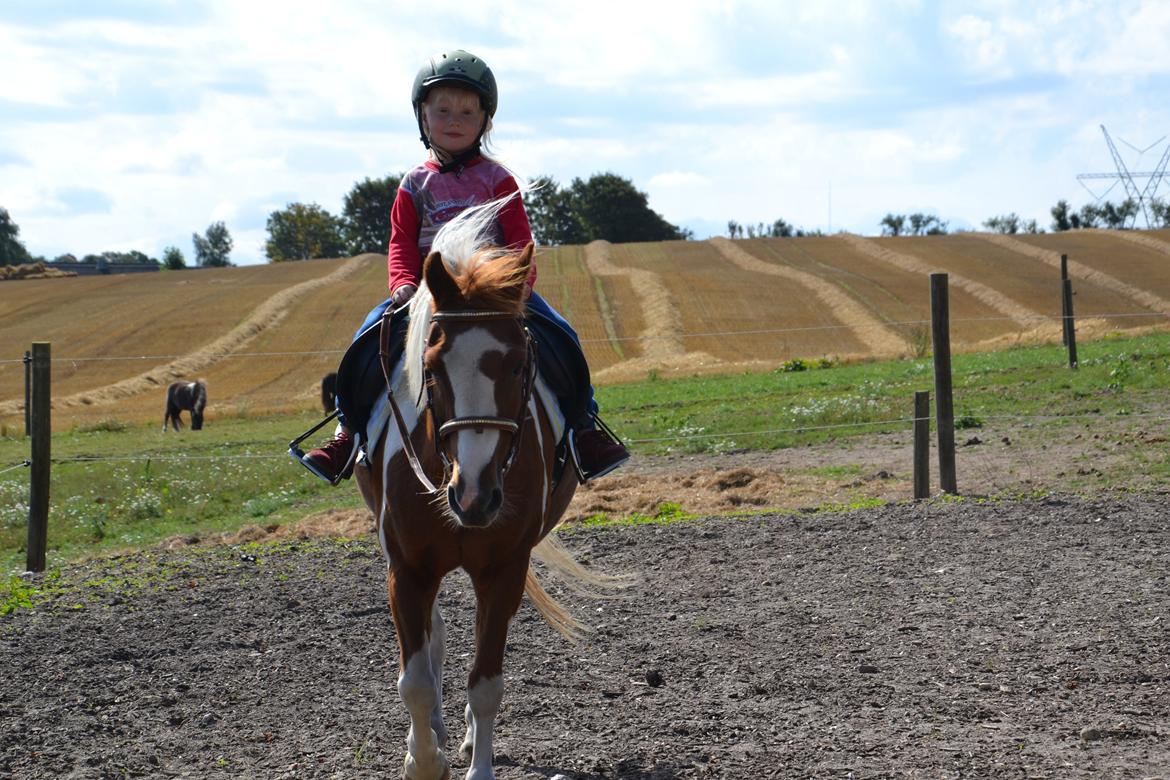 Anden særlig race Batman billede 5