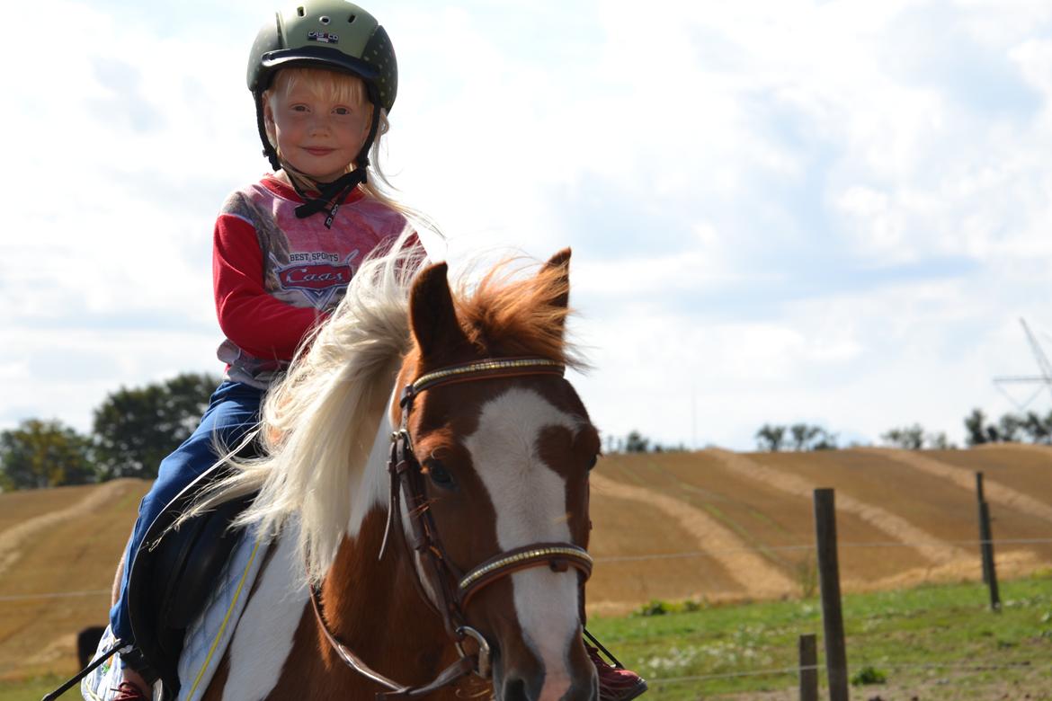 Anden særlig race Batman billede 1