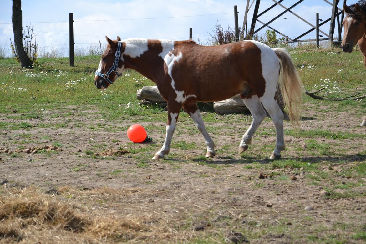 Anden særlig race Batman billede 7