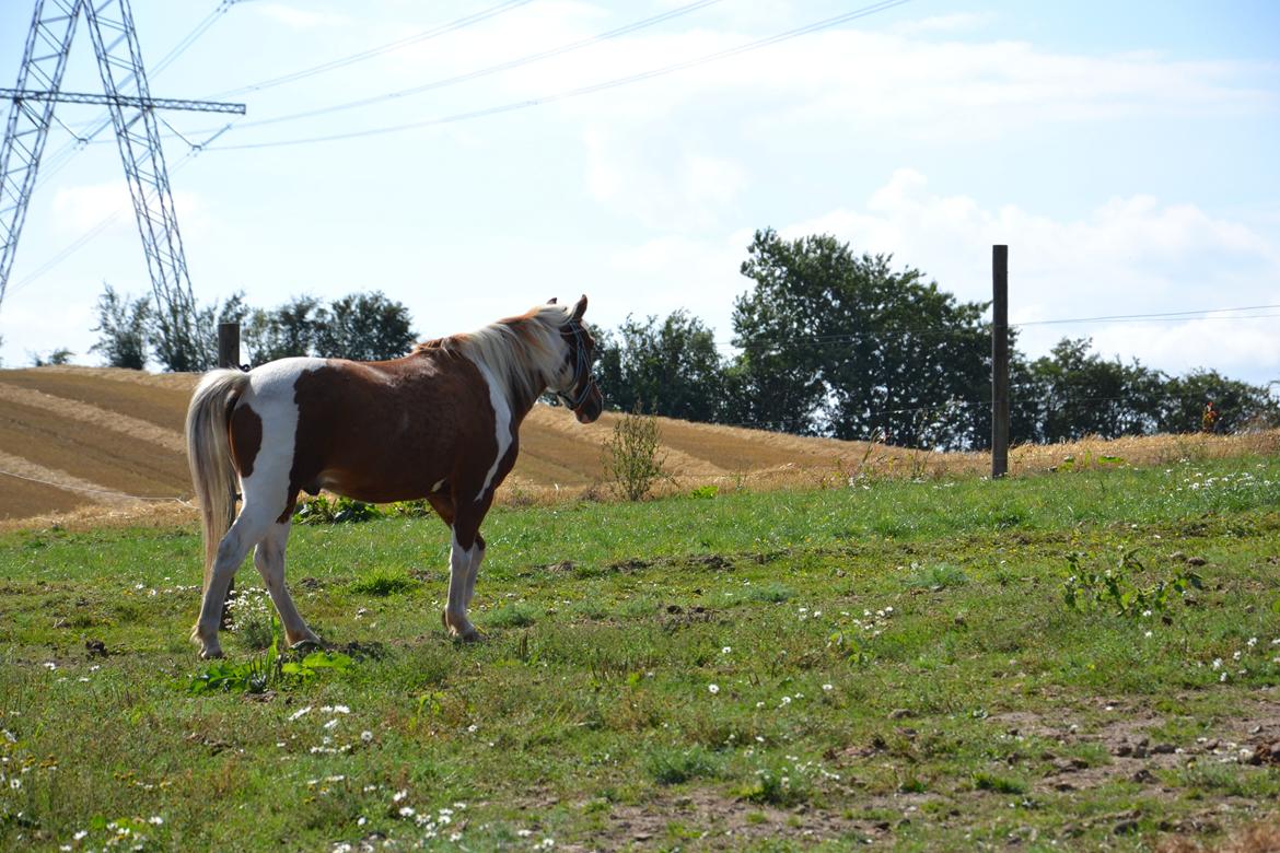 Anden særlig race Batman billede 10