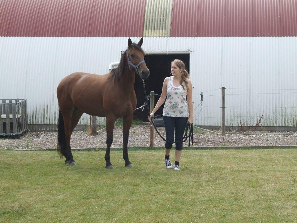 Traver Rosado (Rosa) - 26-08-2013 billede 10