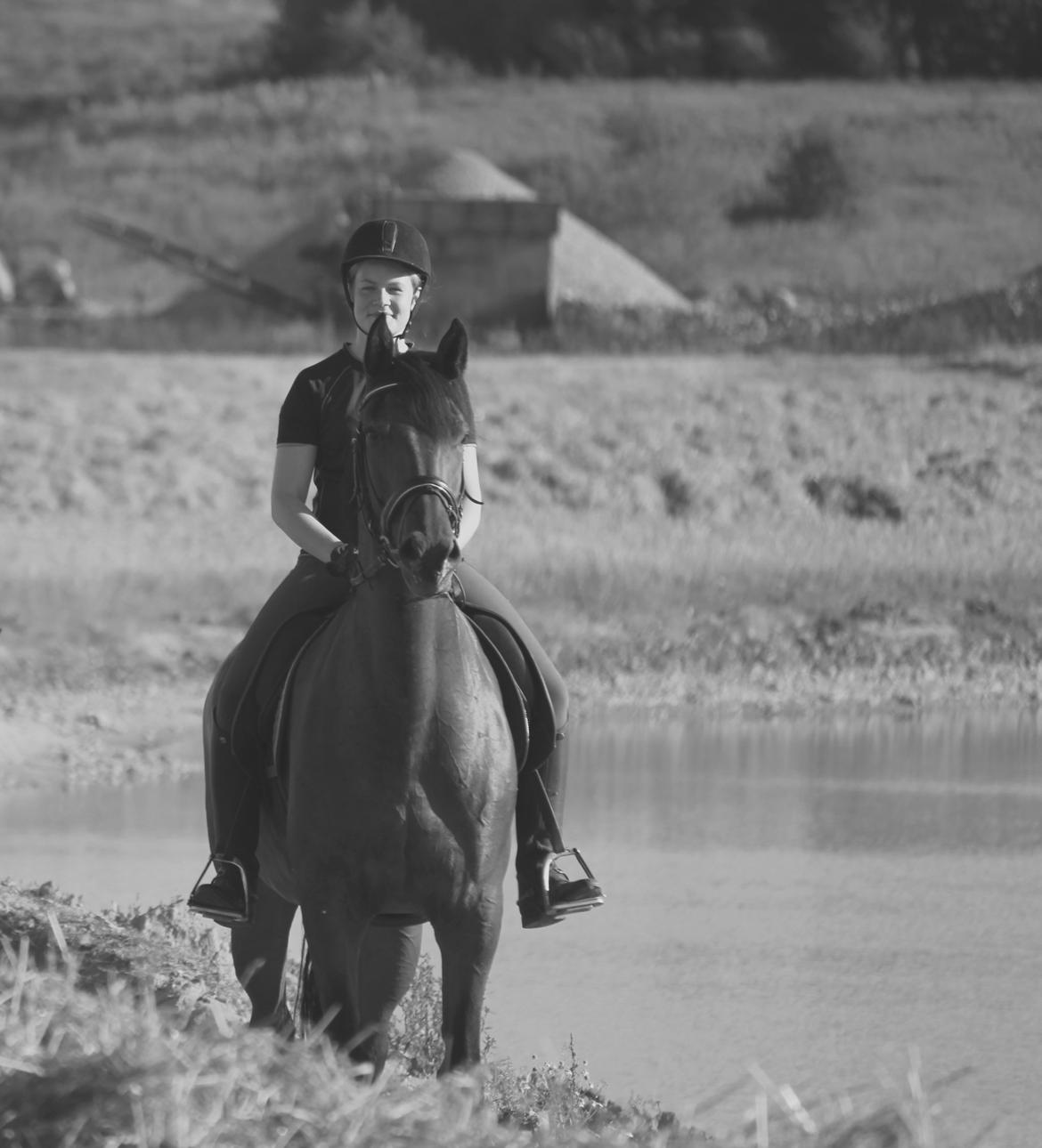 Oldenborg Java Rævdal billede 8