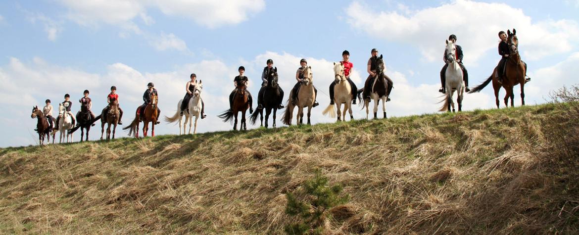 Anden særlig race Arkiball <3 - VMSE 12/13 <3 billede 23