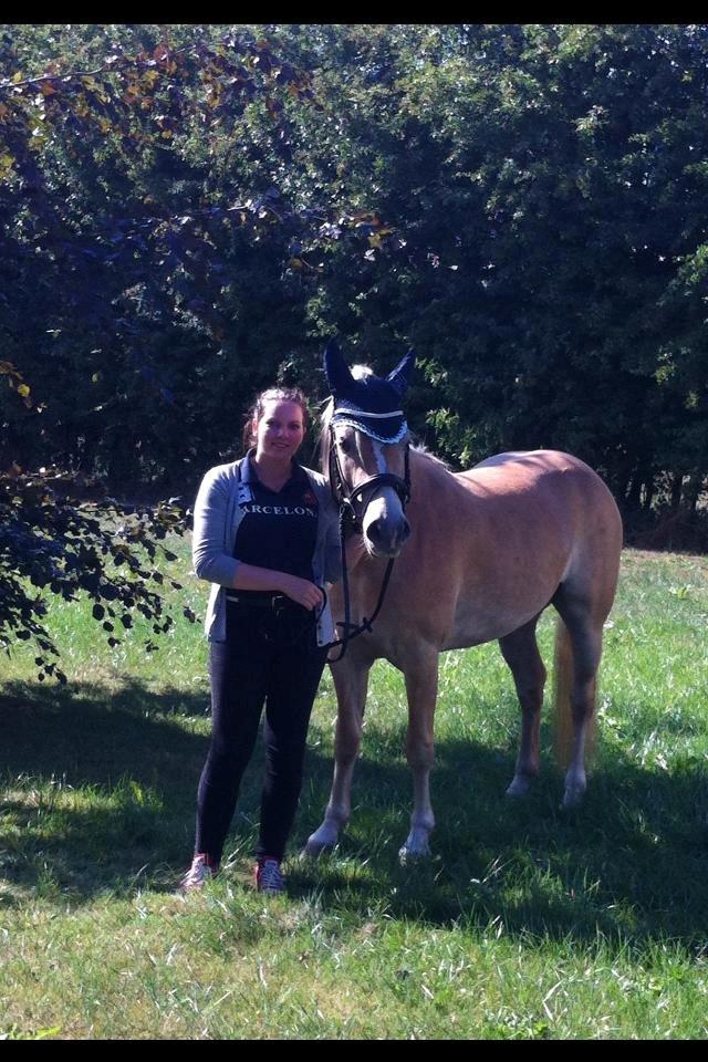 Haflinger Enghaves Bounty [Tidl. Hest] - Bounty har lige fået nyt underlag med matchende hut samt en helt ny trense :) så sød hun er <3 billede 9