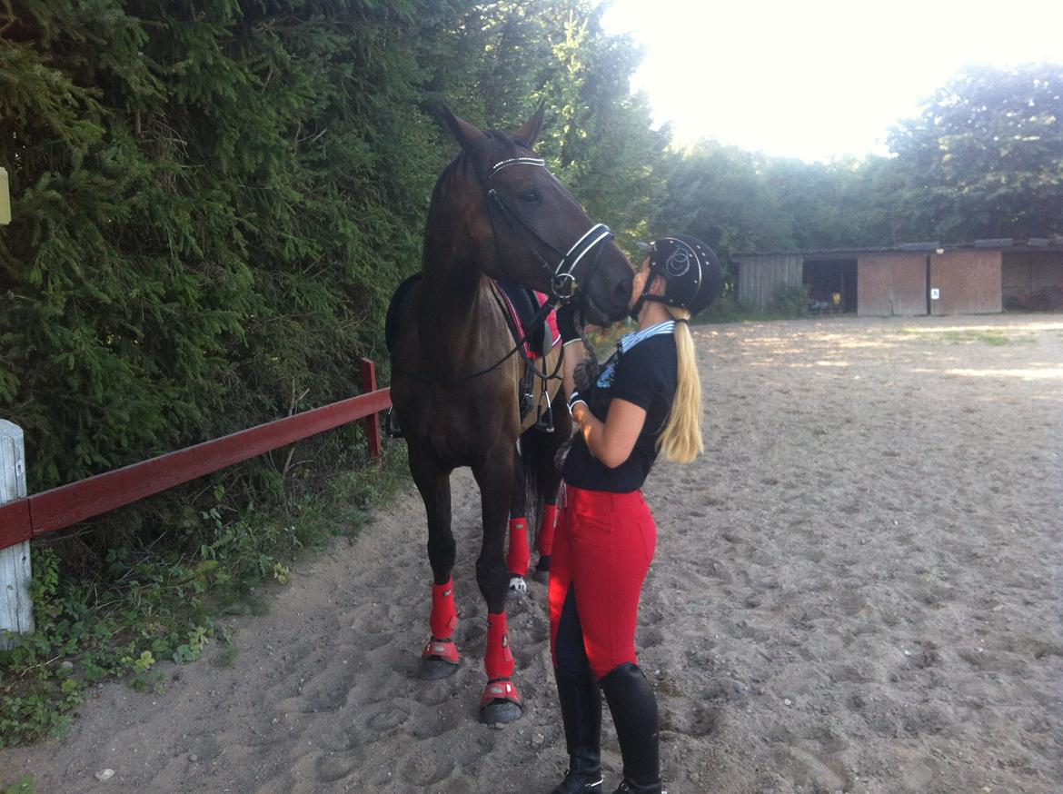 Holstener Columbus B - Min ultimativt bedste ven <3 <3 billede 2