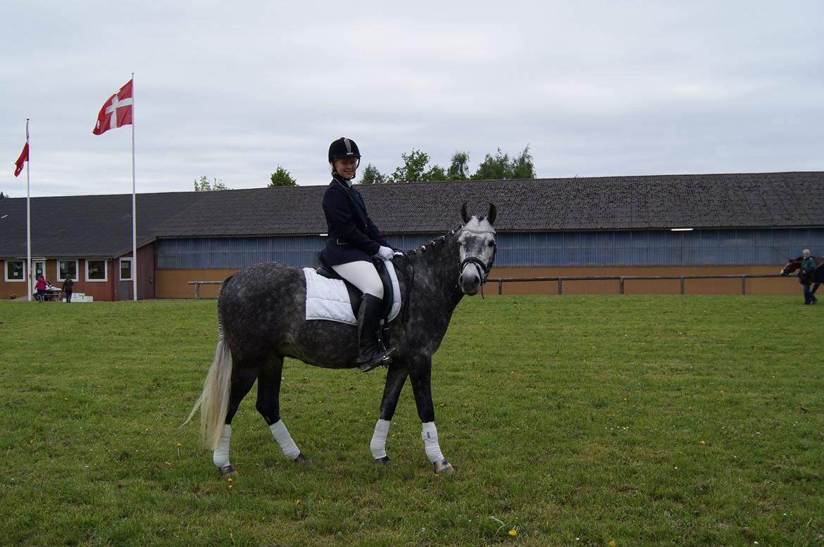 Sportsaraber (A) Adonis - Det tykke dyr efter endt klasse <3 billede 16