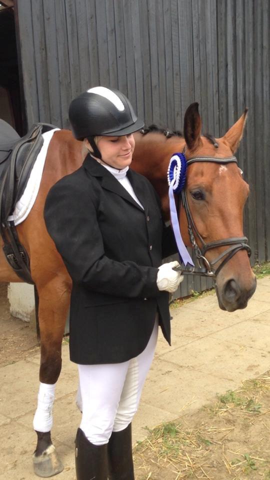 Hannoveraner Dirty Harry - 2. plads i dressur billede 15