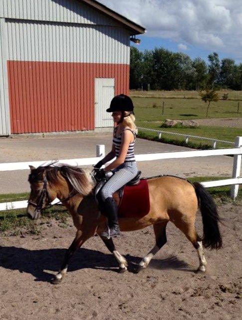 Anden særlig race Bonni - Et af de sidste billeder...
Føler mig som en kæmpe billede 18