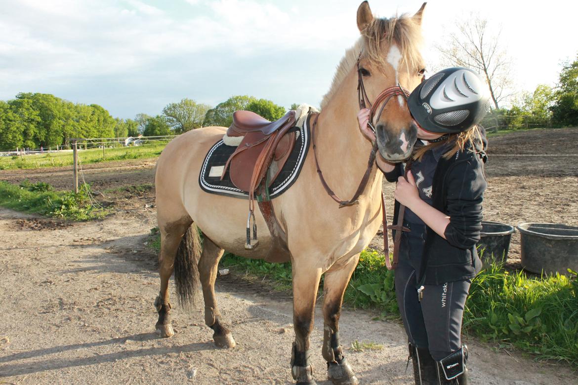 Anden særlig race Kontra billede 8