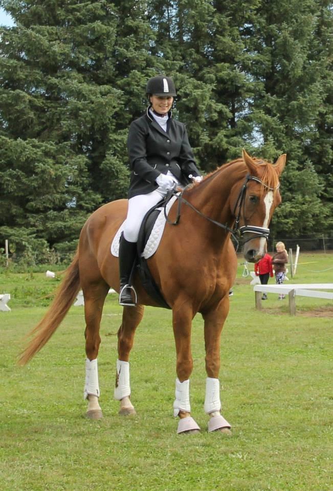 Tysk Varmblod Romeo Herkules (Solgt) - Mit første stævne på ham. 24 august 2013. Vi red til 65,90%  billede 6