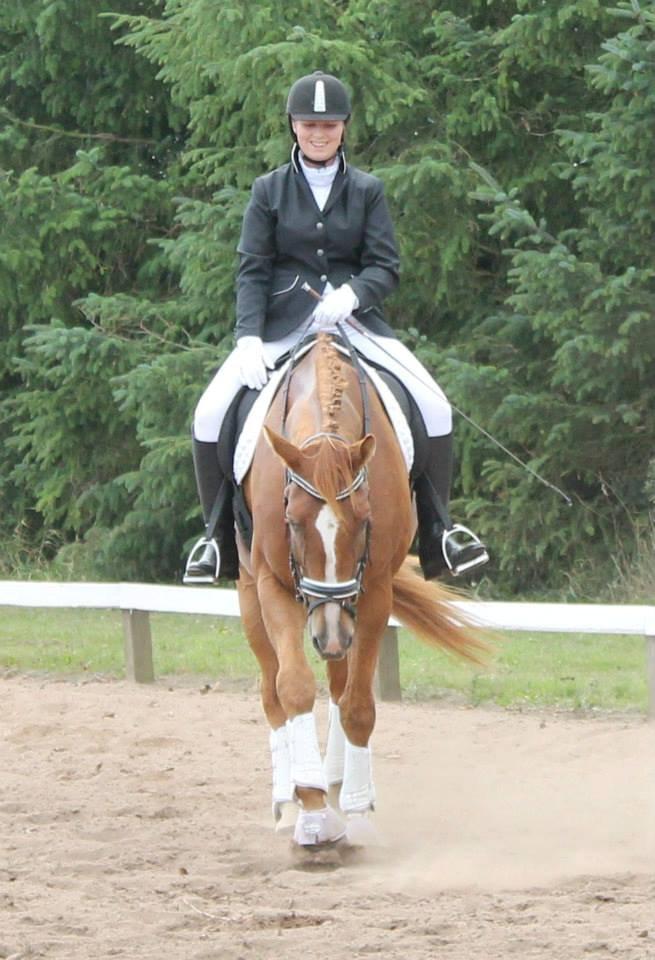 Tysk Varmblod Romeo Herkules (Solgt) - Mit første stævne på ham. 24 august 2013. Vi red til 65,90%  billede 17