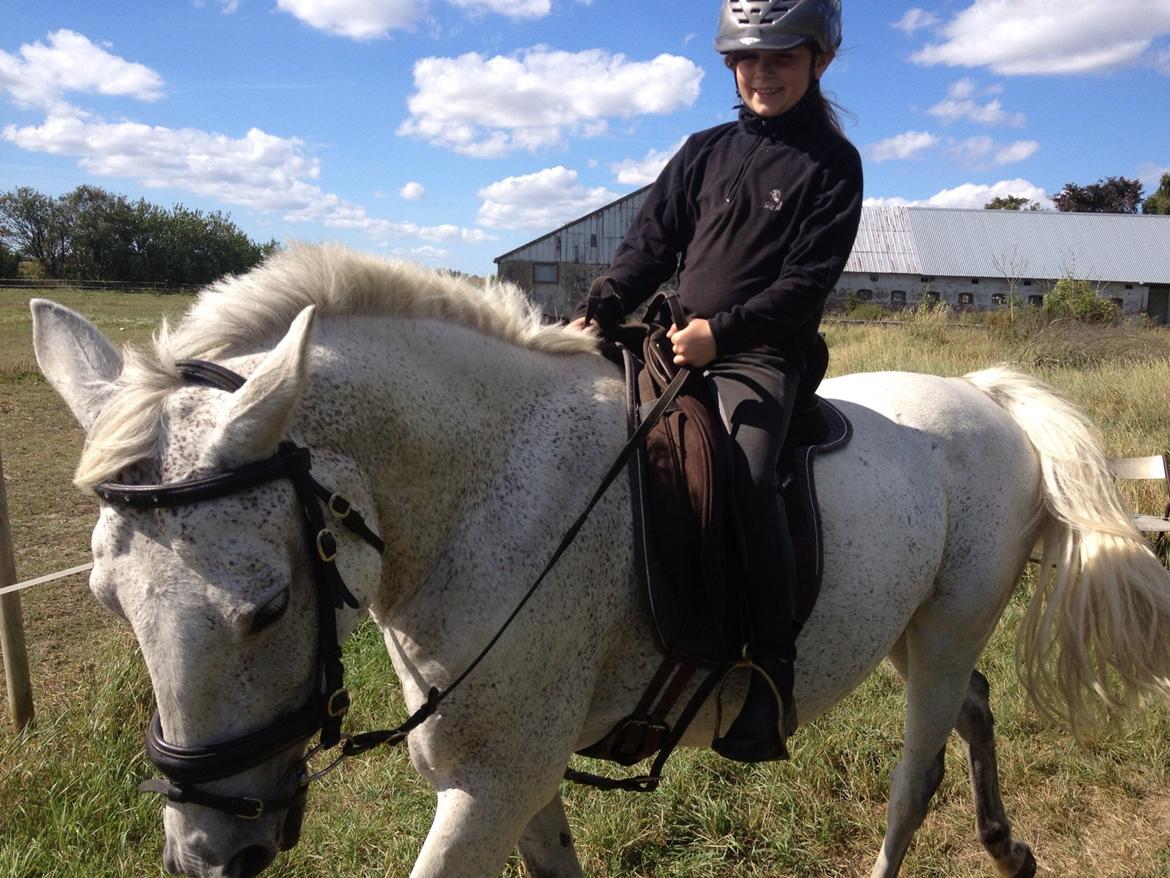 Traver Orlov Isabella Taulund - min niese rider på bella :p billede 9