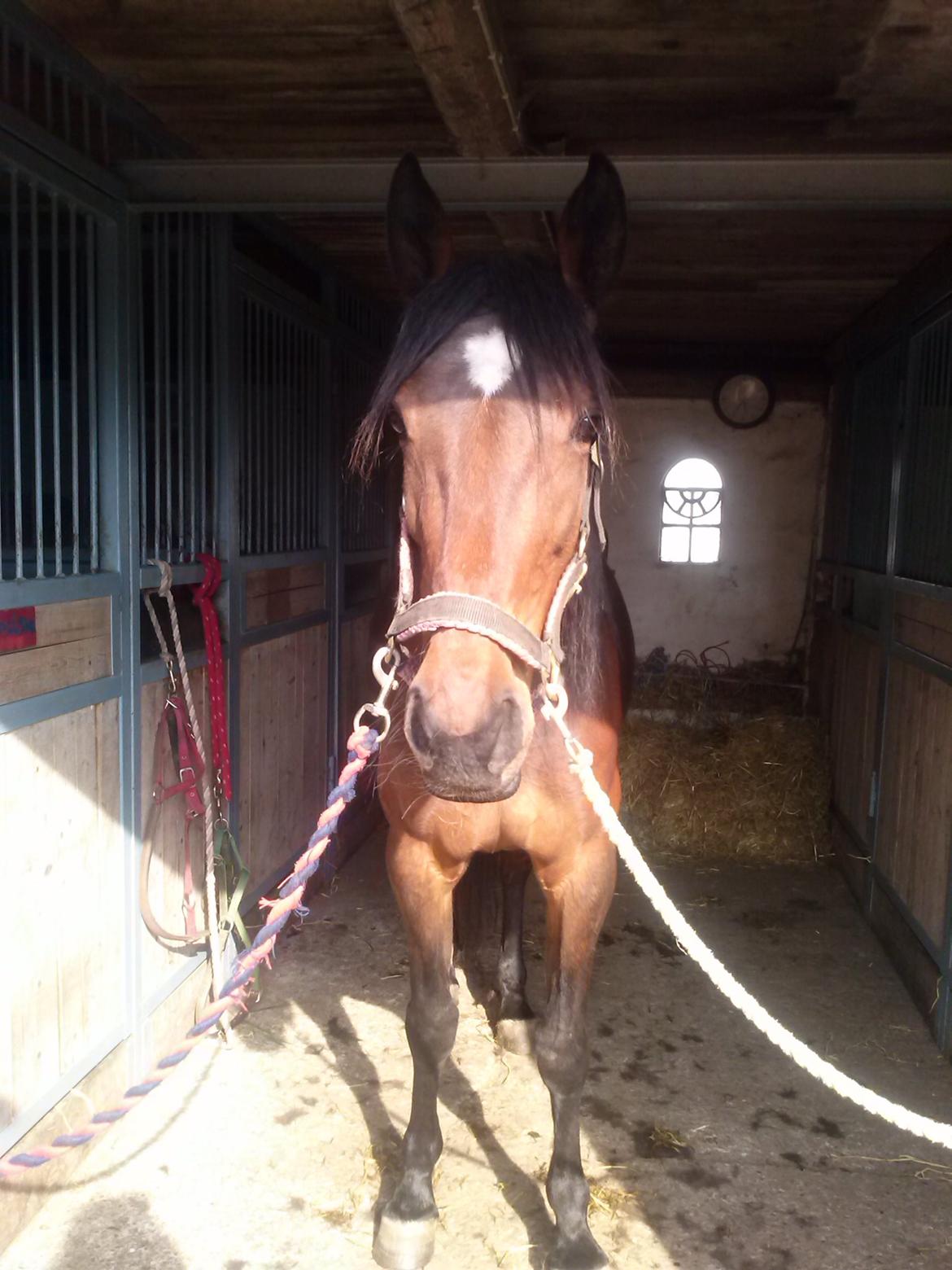 Traver Figth Du Mille - Foto: Mig billede 3