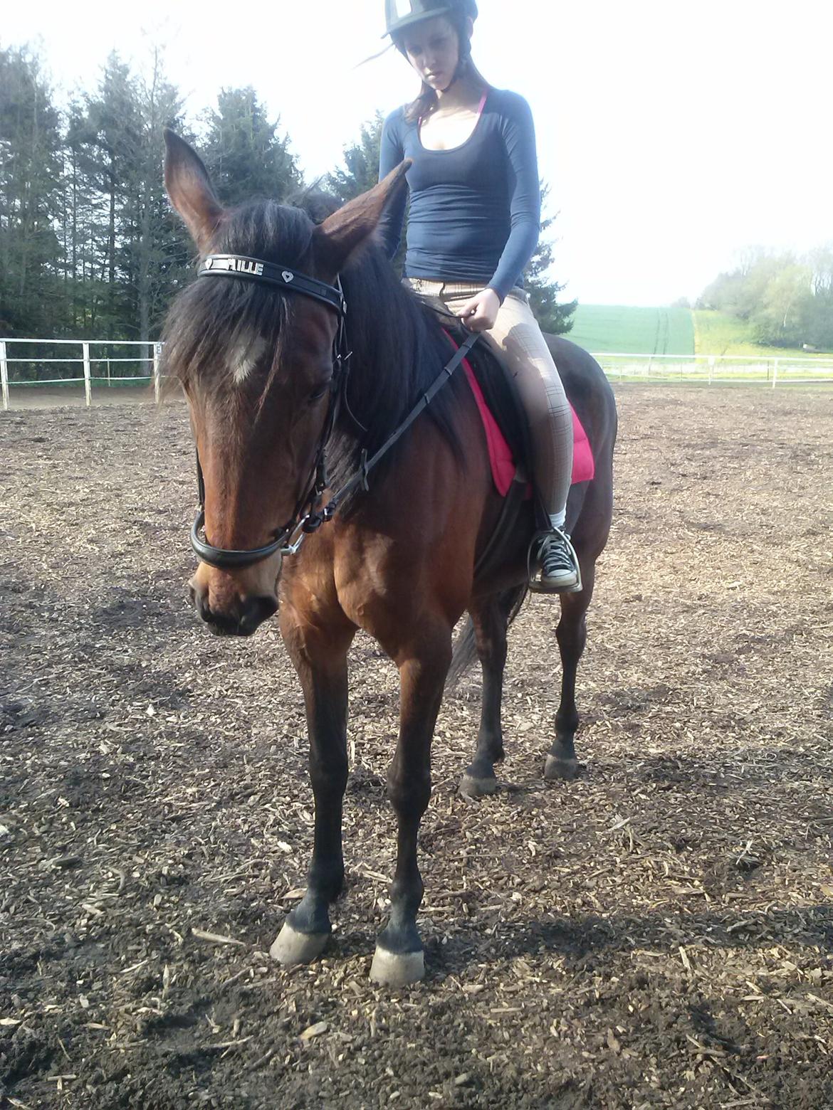 Traver Figth Du Mille - Velkommen til Figth Du Mille´s profil
Foto: Mig billede 1