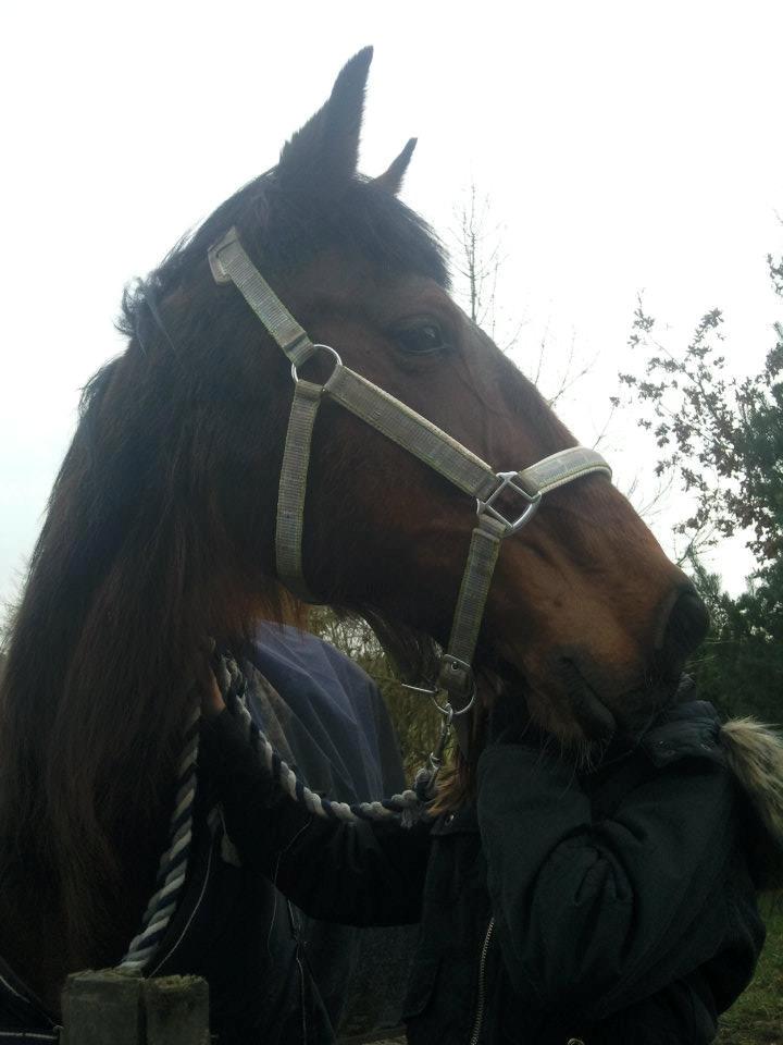 Traver Figth Du Mille - Mor jeg ville gerne ind nu 
Foto: Mig billede 8