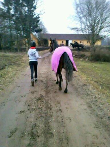 Traver Figth Du Mille - Farvel kom bare og kig igen :-) 
Hejhej  billede 16