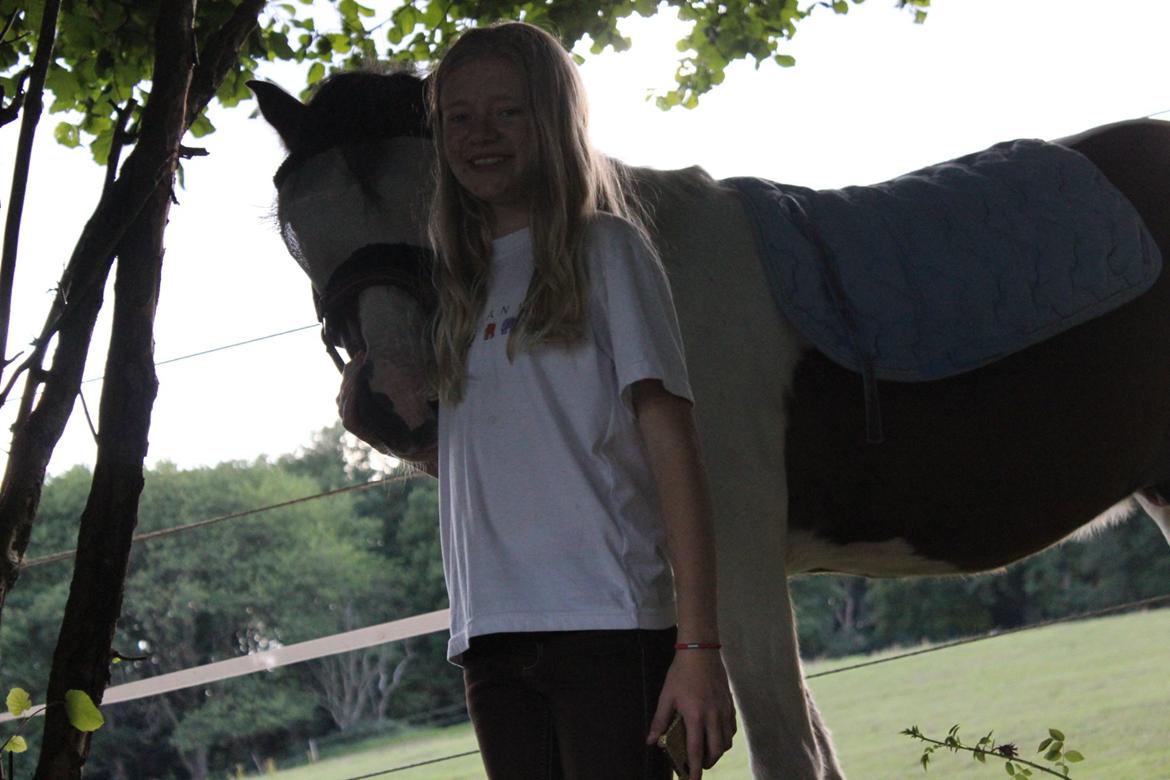 Anden særlig race Jack (savnet) billede 32