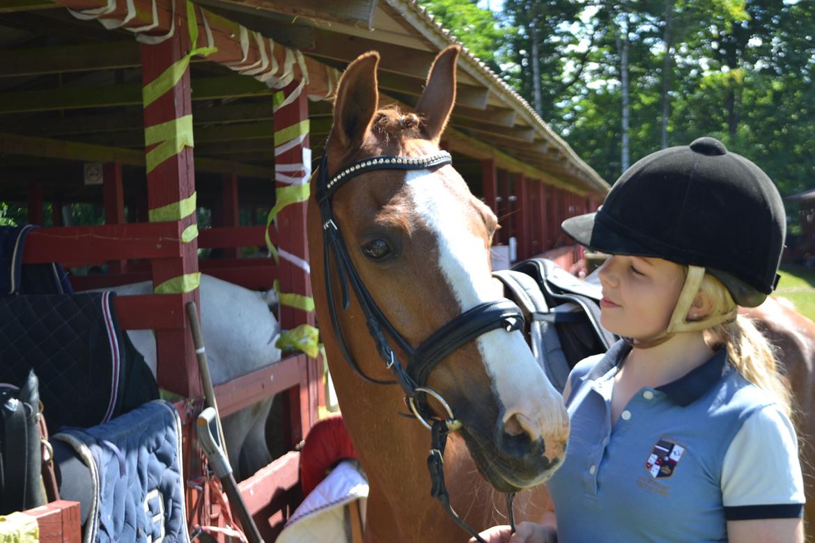 DSP Fundi billede 15