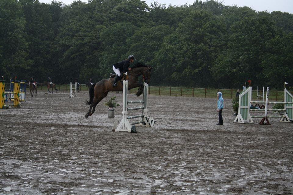 Dansk Varmblod Storåens Belondo (Richard) - LA i Vejle Rideklub i øs regnvejr ;) 
 billede 6