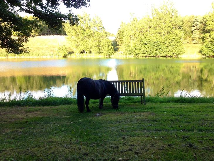 {{currentPhoto.altText}} billede {{currentPhoto.number}}