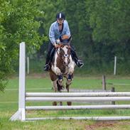 Pinto Nappemarkens Pimento <3