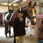 Anden særlig race Patrick