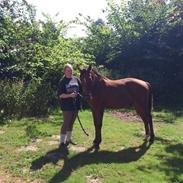 Anden særlig race Sofus