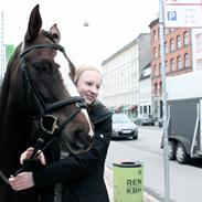 New Forest Alicante Kærlund