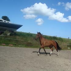 Oldenborg Neo Vollerupgård