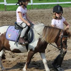 Anden særlig race lilleper