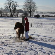 Anden særlig race lilleper