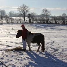Anden særlig race lilleper