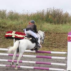 Anden særlig race Casmihr