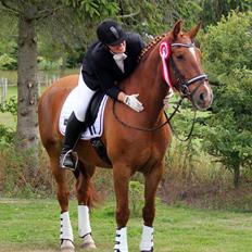 Anden særlig race Athene (SOLGT)