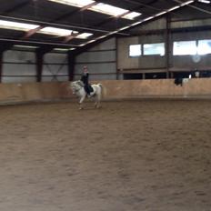 Anden særlig race Bill<3