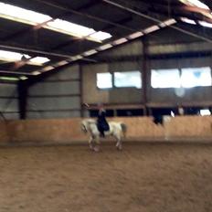 Anden særlig race Bill<3