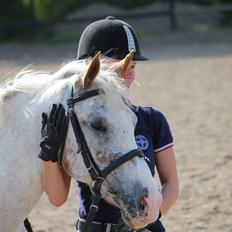 Anden særlig race Lotte