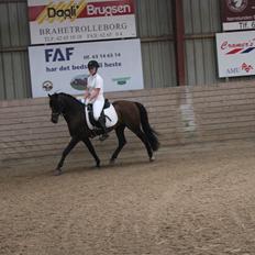 Anden særlig race Gavbogaard Lucas