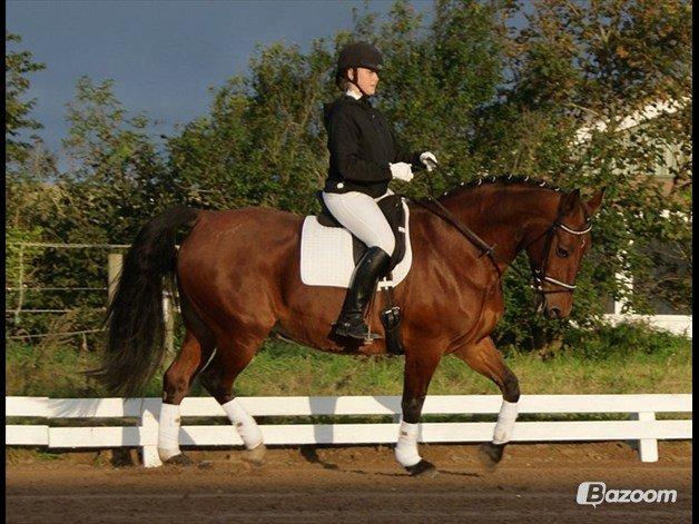 Oldenborg Hornbeck'S Duche - Stævne. billede 1