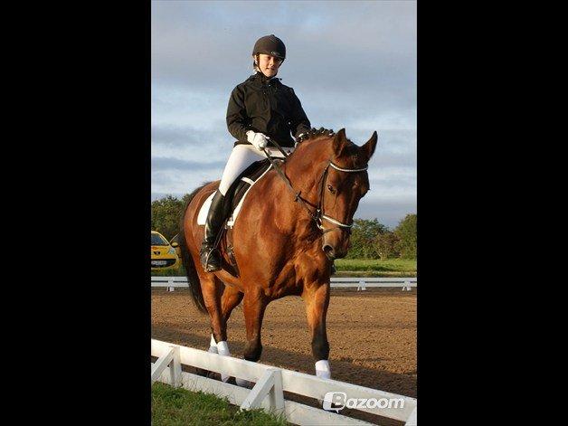 Oldenborg Hornbeck'S Duche billede 7