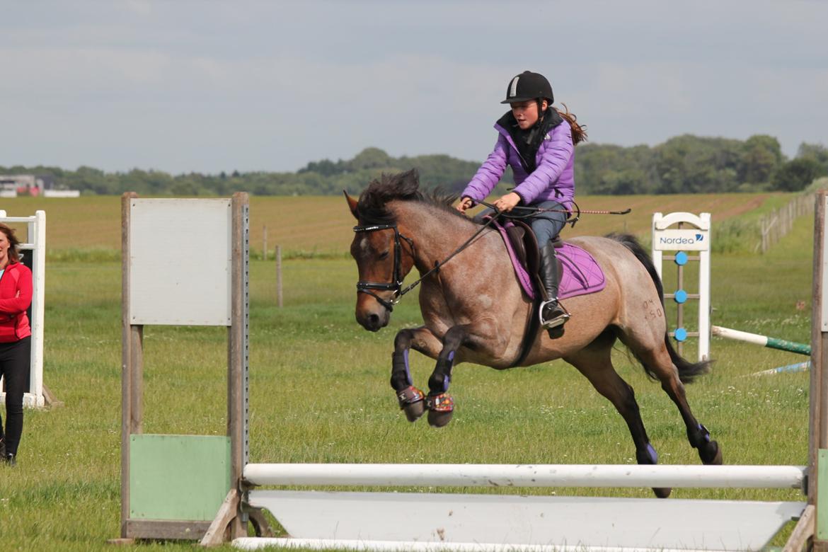 Welsh Partbred (Sec F) Kildegård Laura - springtræning, min prinsesse i fuld fart :) <3 billede 18