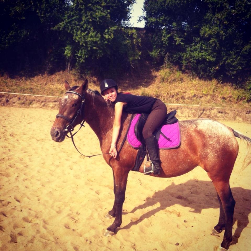 Knabstrupper Friis' Signe - Der findes ingen bedre. billede 6