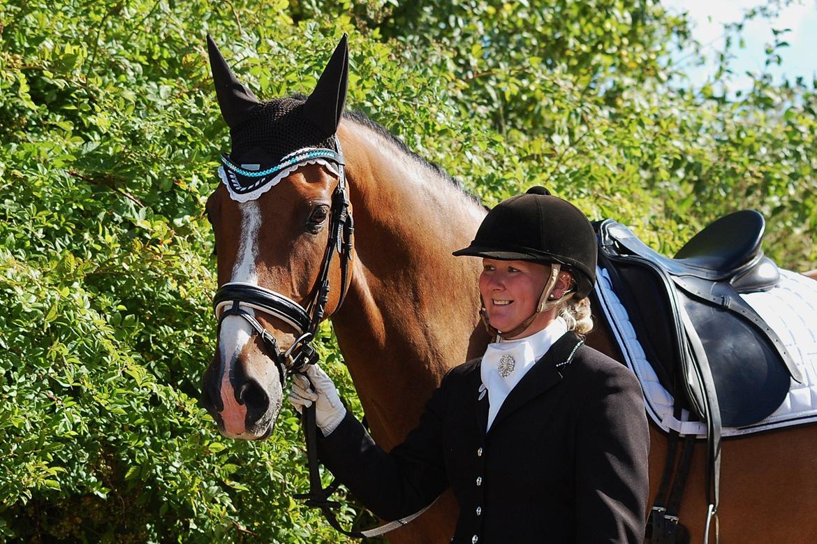 Dansk Varmblod Amour´s Don Cacier billede 12