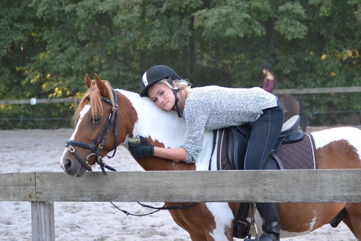 Pinto Blade - Verdens bedste ven <3 <3 billede 29