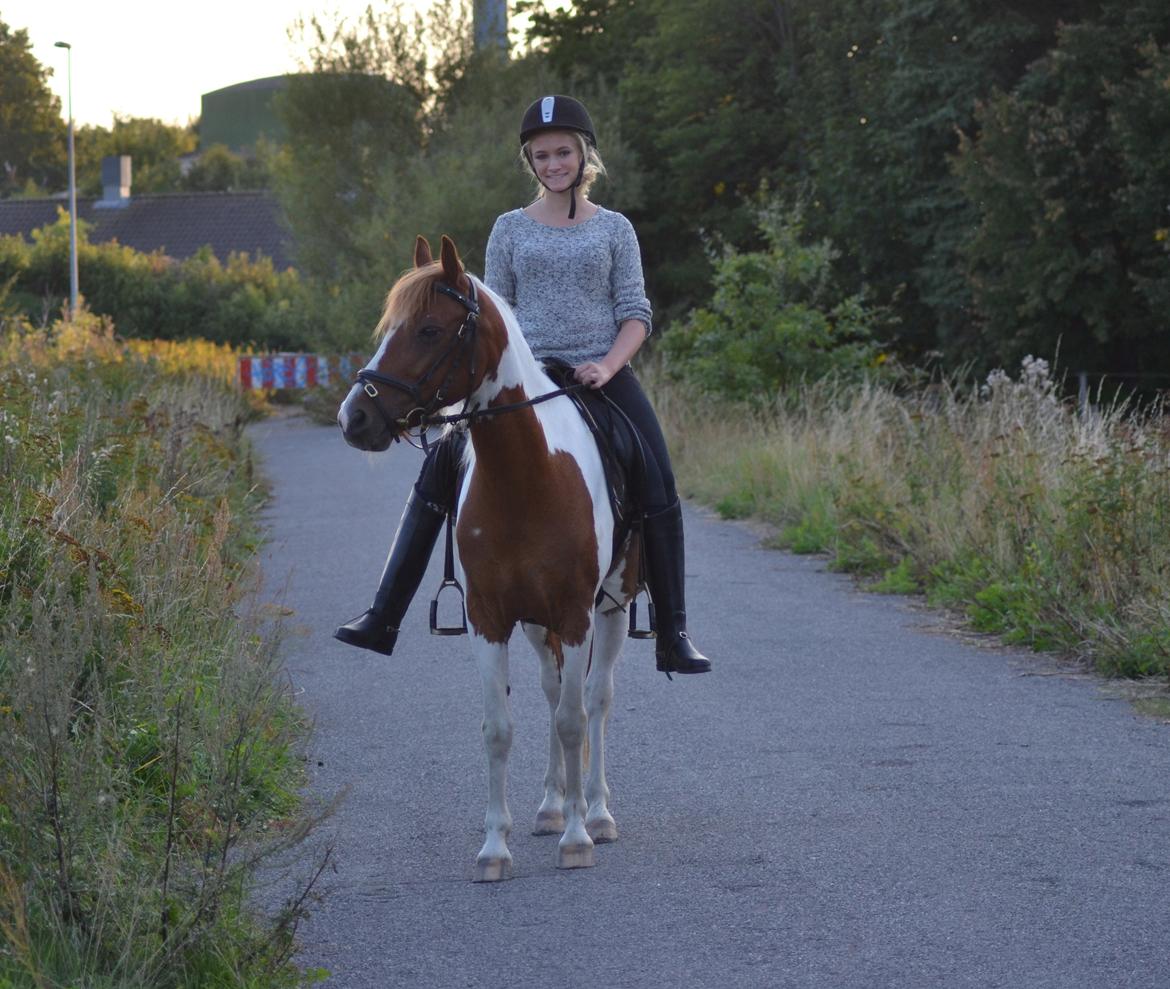 Pinto Blade - Elskede <3 <3 billede 30